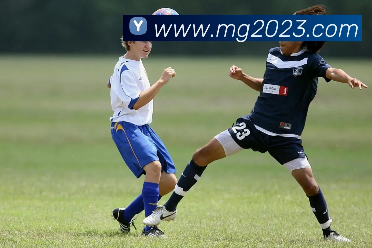 App Interface Preview